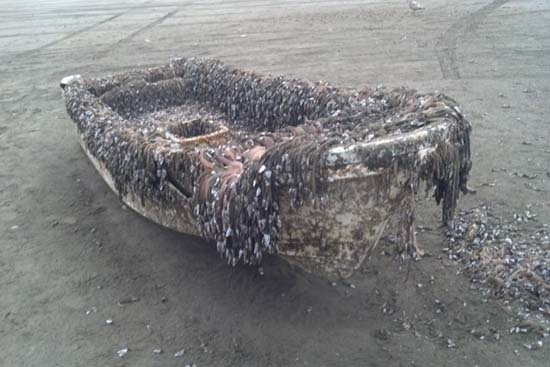 Rescatan bote arrastrado desde Japón a EU por tsunami de 2011