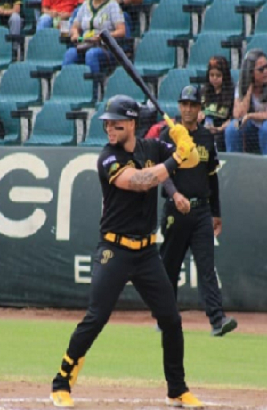 Pericos de Puebla se llevan su primera serie ante Piratas de Campeche