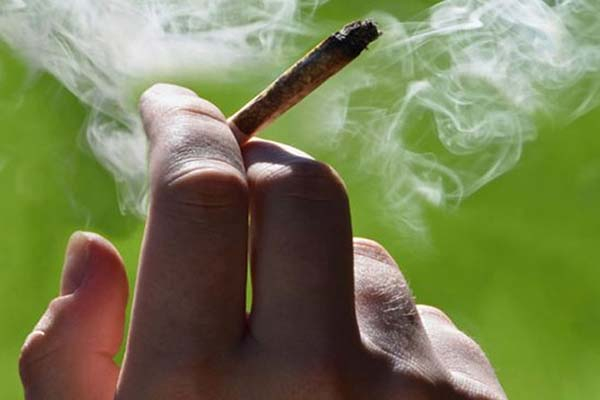Cámara de Diputados de México aprueba ley de consumo lúdico de marihuana