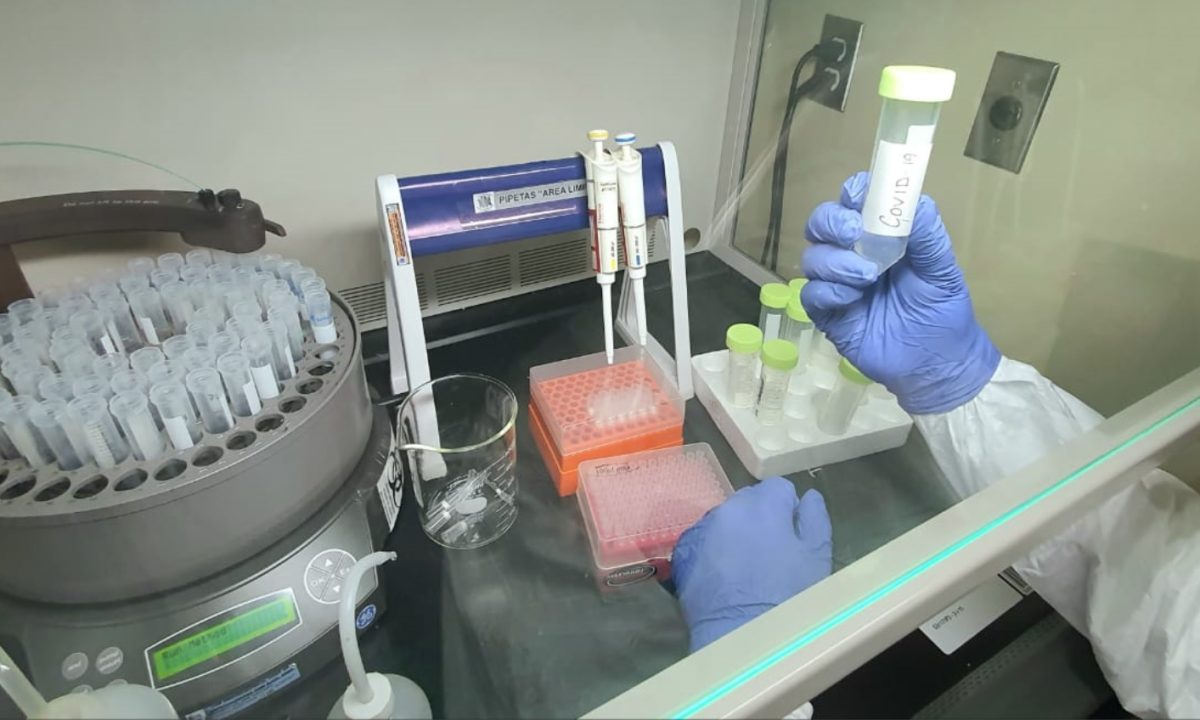 Investigadores del IMSS participan en desarrollo de una vacuna contra el COVID-19