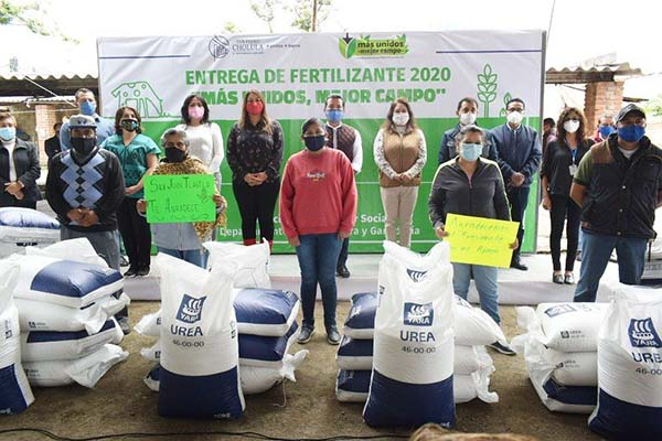 Apoya gobierno de San Pedro Cholula a productores agrícolas con fertilizante