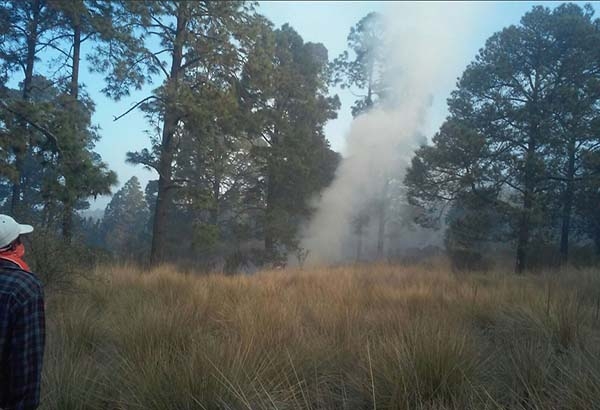 2 de cada 5 incendios forestales en Puebla son intencionales: Conafor