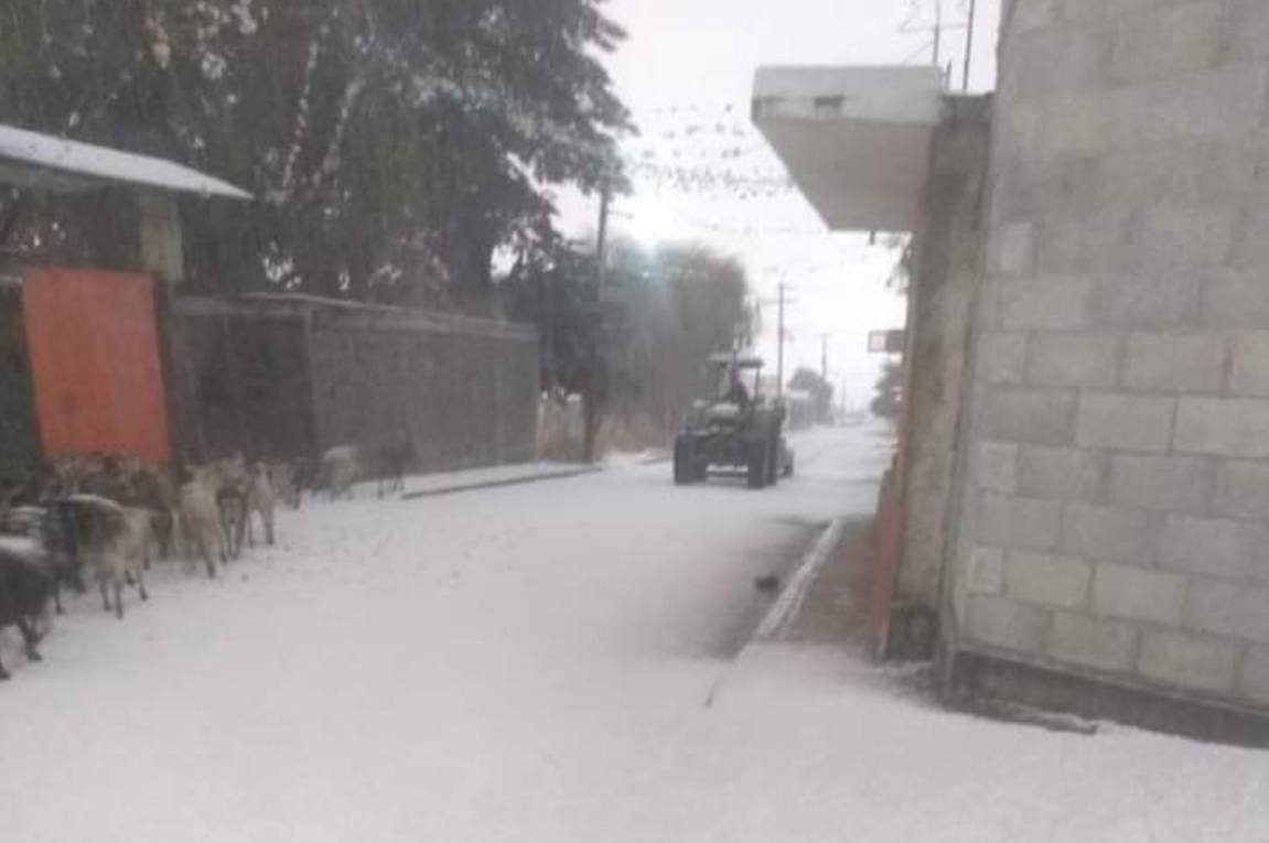 FOTOS. Se registra nevada en Tlachichuca