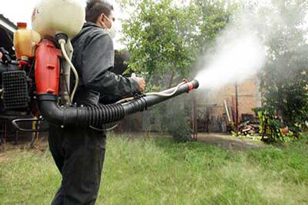 Puebla, octavo lugar en casos de dengue al cierre de 2020