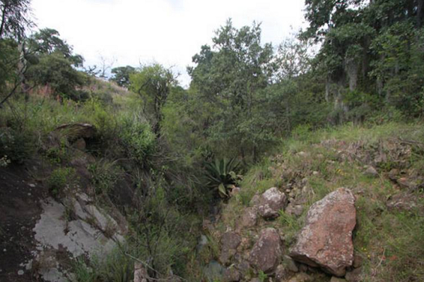 Hallan cadáveres en fosa clandestina relacionada al “Mamer” en Hueytamalco