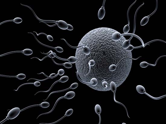 Cae tasa de fertilidad en México; la menor en cuatro décadas
