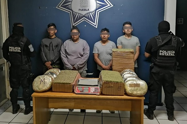Decomisan 50 kilos de marihuana proveniente de Michoacán; cerraremos Puebla a las drogas: Barbosa