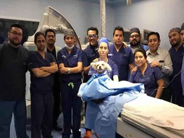 Inédito: en Puebla colocan marcapasos a perrito