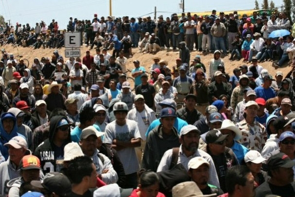 Jornaleros de San Quintín logran salario de $200 al día y sindicato