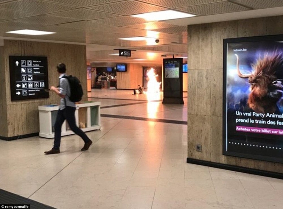 Pánico en Bruselas por explosión en estación central de trenes