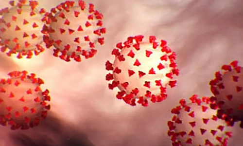 Coronavirus “disfruta” de cualquier estación del año;