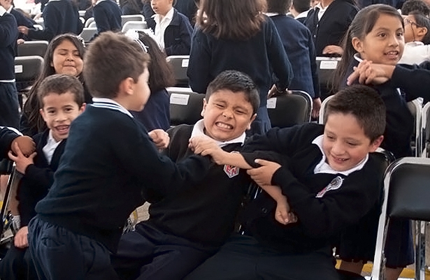 ¿En qué municipios de Puebla se dan más casos de bullying?