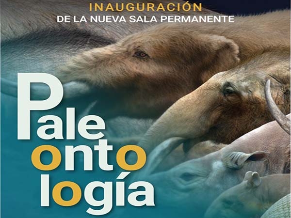 El Museo Regional de Puebla abre al público nueva sala permanente de paleontología