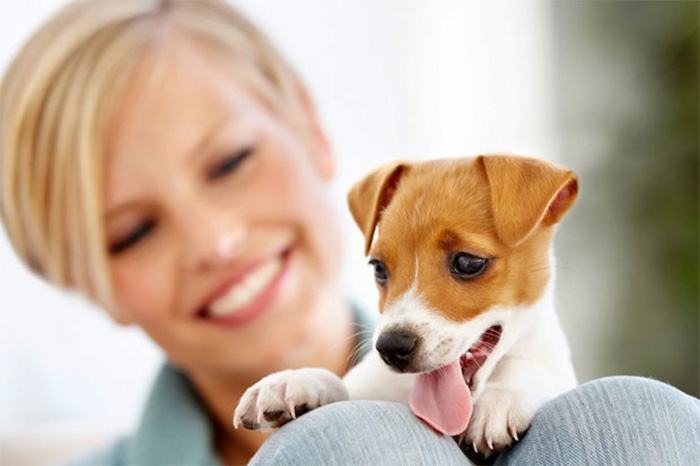 Cuida mascotas de amigos y viaja por el mundo