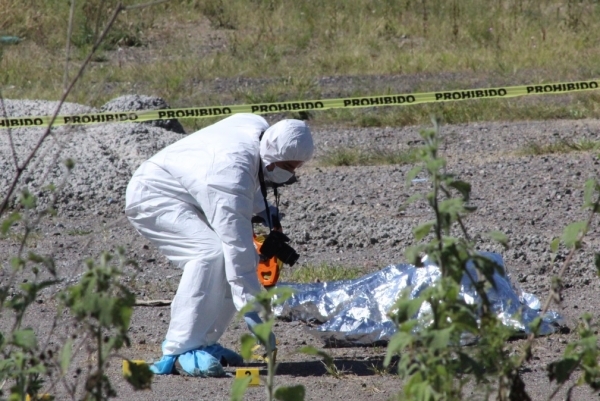 47 feminicidios en Puebla de enero a septiembre de 2019: SNSP