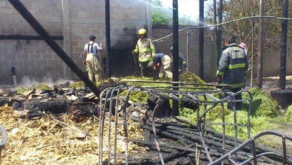 Bomberos sofocaron incendio de camioneta cargada con gasolina