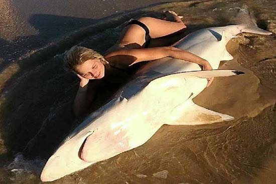 Adolescente se toma fotos con tiburón muerto; la policía la busca