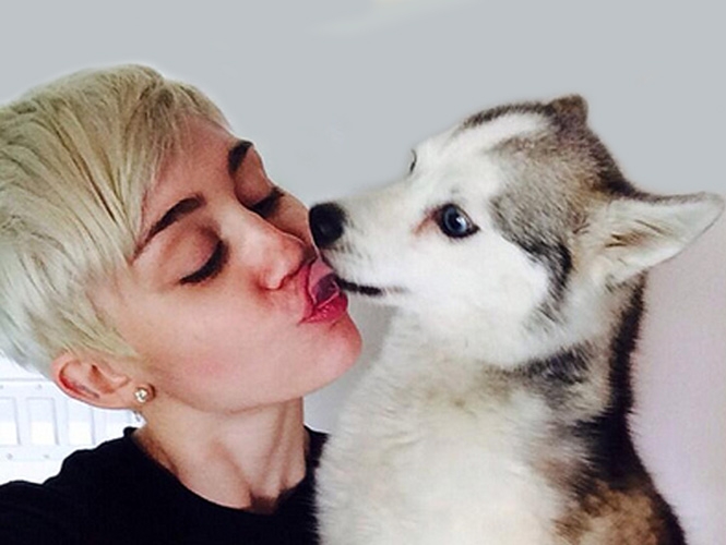 Miley Cyrus devastada por la muerte de su perro