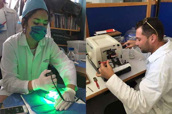 Investigadores de la BUAP acortan tiempo de cicatrización de heridas