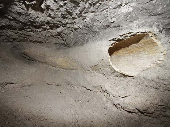 INAH investiga hallazgo de colmillo de mastodonte en Puebla
