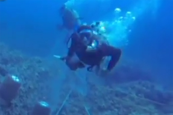 VIDEO: Captan presunto intento de asesinato bajo el mar