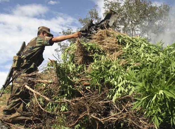 Legalización de drogas en México, ¿es posible?