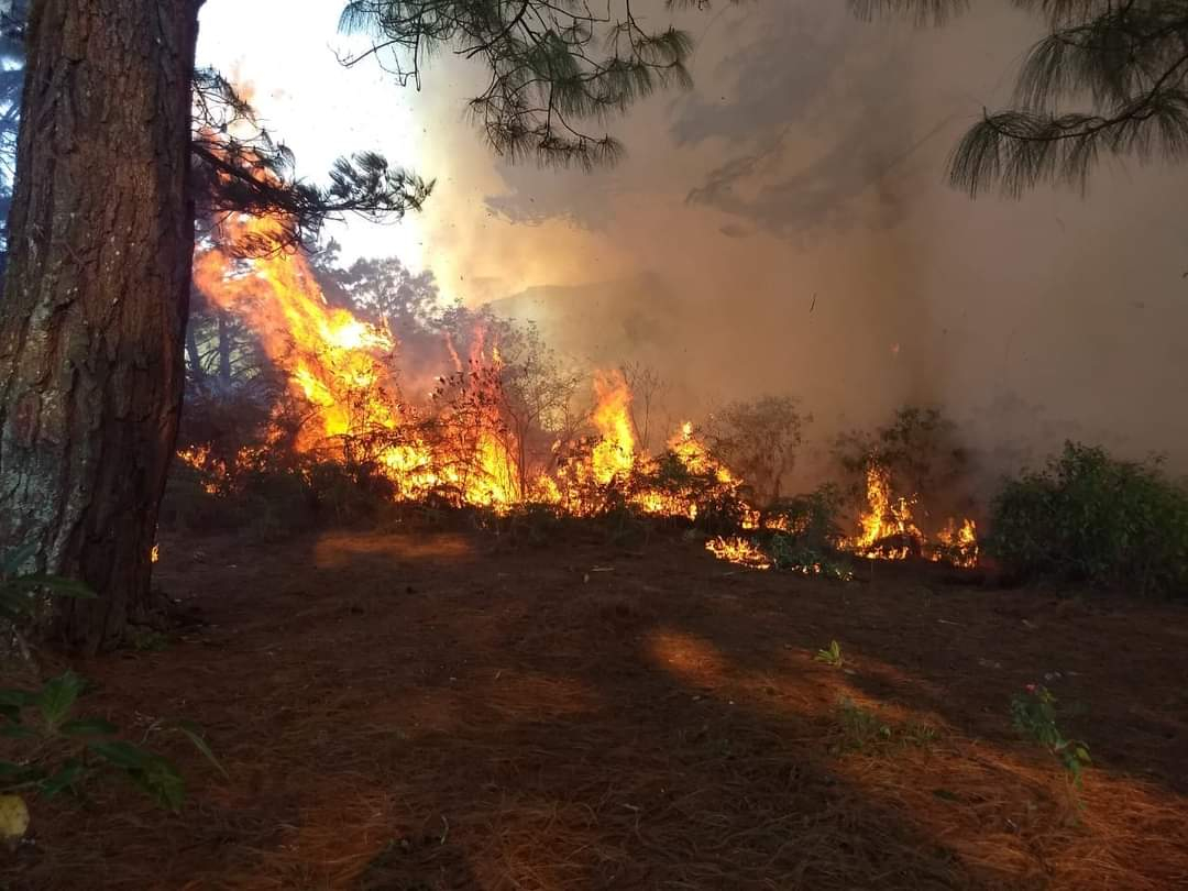 Sufre accidente funcionario de Conafor en incendio de Xochitlán de Vicente Suárez