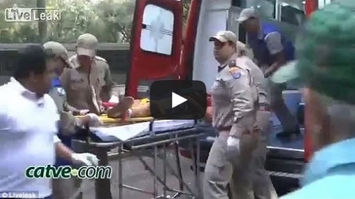 VIDEO: Tigre arrancó una mano a niño en Brasil