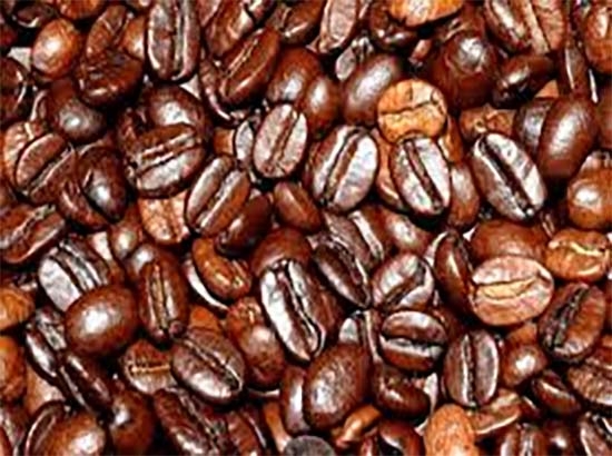 Café, huapango y tradición en la feria de Huitzilan