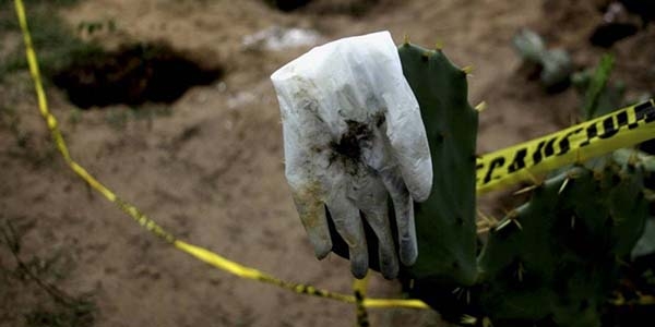 Hallan 15 cadáveres en fosas clandestinas de Veracruz