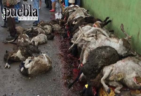 VIDEO: Tromba azota a Esperanza, Puebla