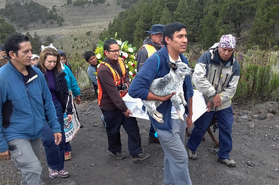 Citla, el perro guardián, ya descansa en el Pico de Orizaba
