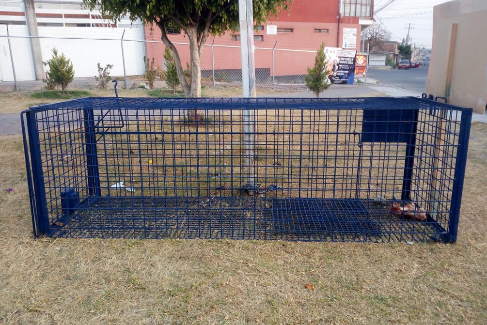 Vecinos colocan trampas para animales callejeros en San Andrés Cholula