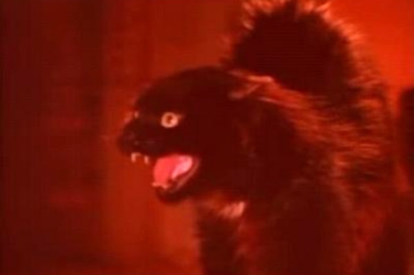 Más negro que la noche: el gato asesino regresa en 3D