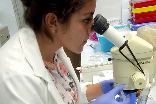 Investigadora de la BUAP avanza en el estudio de la diabetes mellitus tipo 2