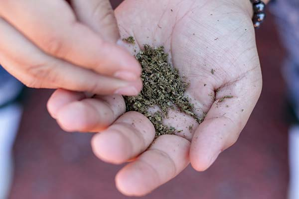 Cocaína, marihuana y armas, lo más asegurado por la FGR en Puebla