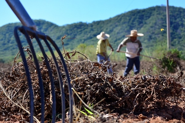 El INAES apoyará con 100 mdp a proyectos emprendedores en Puebla