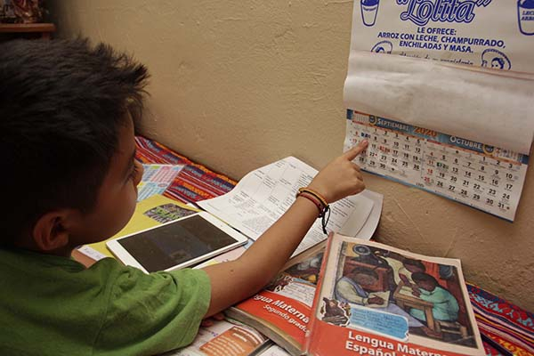 Será “a distancia” el ciclo escolar 2020-2021, define la SEP
