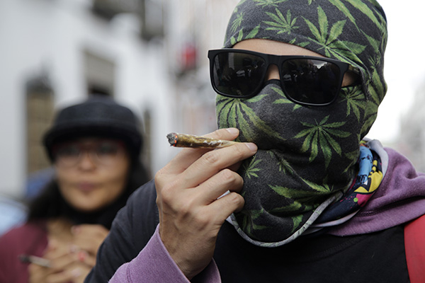 Día de la Marihuana: 116 poblanos piden permiso de consumo a Cofepris