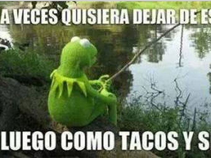 Rana Kermit, de los muppets al mundo de los memes