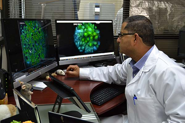 En Puebla se investiga una terapia más certera y menor agresiva contra el cáncer