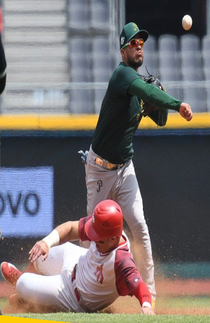 Pericos de Puebla inicia serie ante Tigres de Quintana Roo como visitante