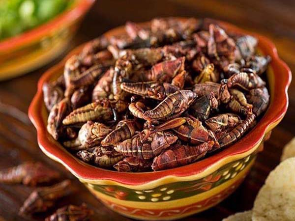 Los Pueblos Mágicos con la mejor comida