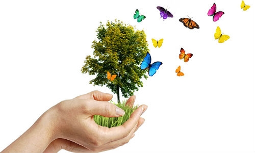 5 de Junio: Día Mundial del Medio Ambiente