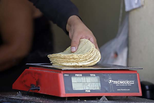 ¡Por fin!, ¿habrá o no aumento en el precio de la tortilla?
