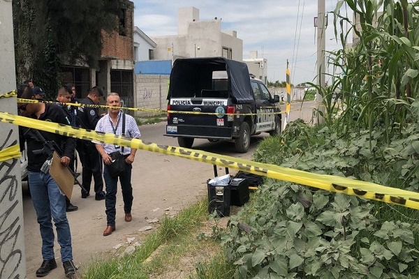 Degüellan a mujer y dejan cadáver entre milpas en San Aparicio