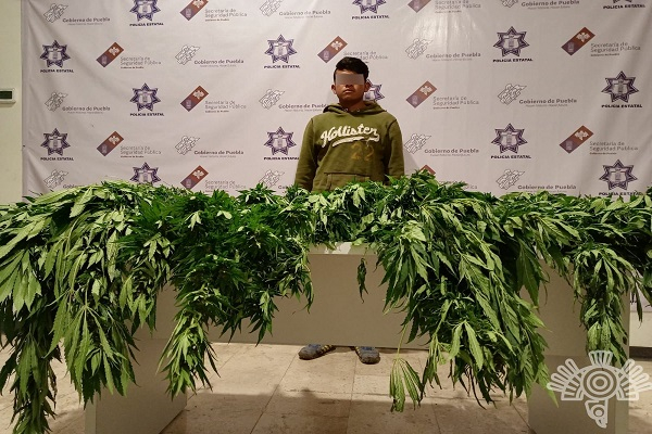 Sujeto es capturado con cuatro kilos de marihuana en Tepanco de López