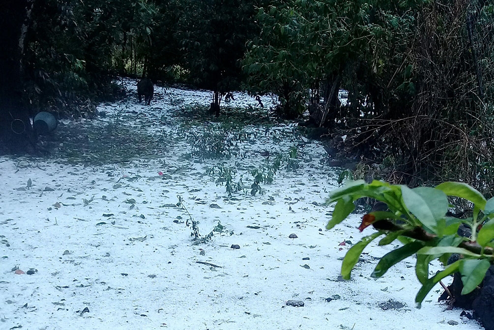 Intensa granizada afectó viviendas y cultivos en Tochimilco