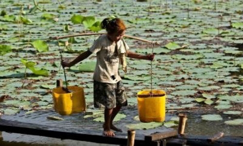 Alrededor de 2 mil 500 millones de personas carecen de agua