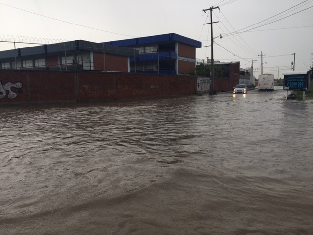 FOTOS: Tormenta en Puebla deja encharcamientos y árboles caídos
